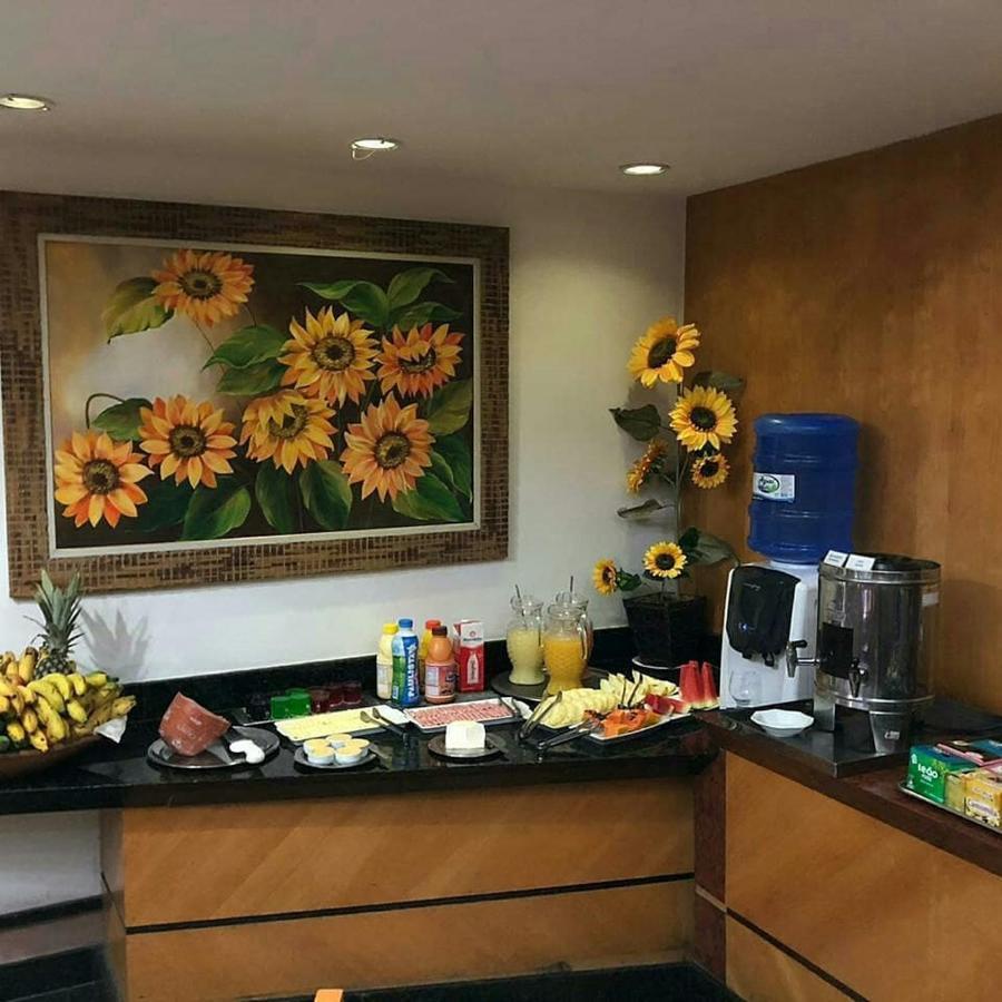Horto Executivo Hotel Ipatinga Exteriér fotografie